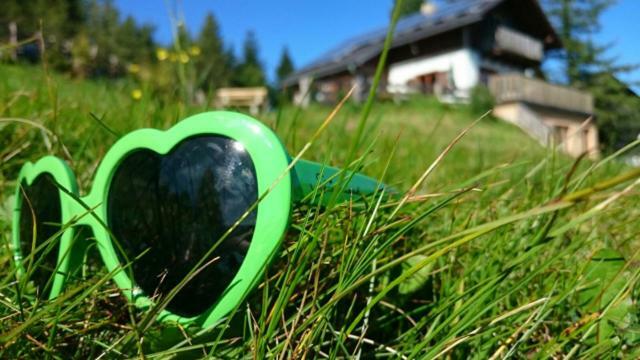Sommeralmhuette Sankt Kathrein am Offenegg Esterno foto